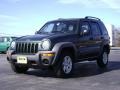 2002 Shale Green Metallic Jeep Liberty Sport 4x4  photo #3
