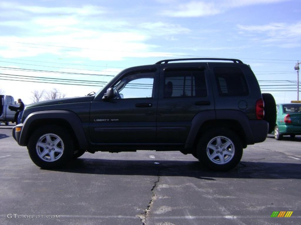 2002 Liberty Sport 4x4 - Shale Green Metallic / Dark Slate Gray photo #4