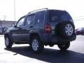 2002 Shale Green Metallic Jeep Liberty Sport 4x4  photo #5