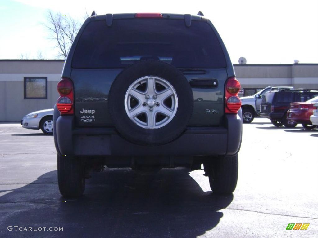 2002 Liberty Sport 4x4 - Shale Green Metallic / Dark Slate Gray photo #6