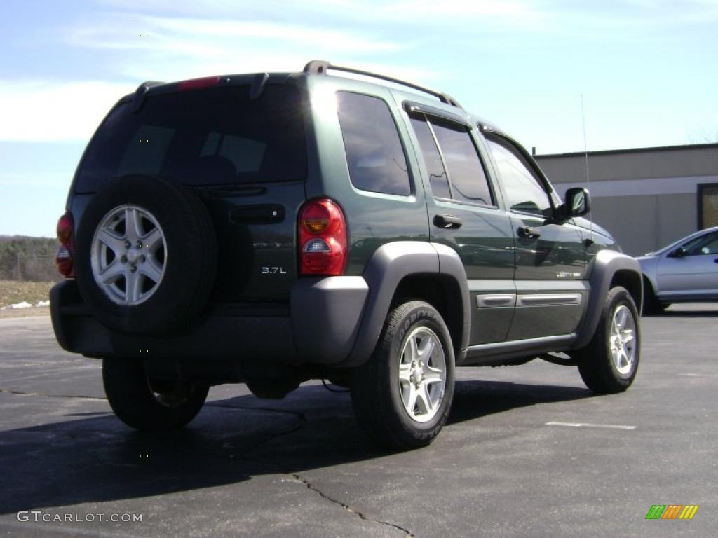2002 Liberty Sport 4x4 - Shale Green Metallic / Dark Slate Gray photo #7