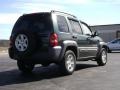 2002 Shale Green Metallic Jeep Liberty Sport 4x4  photo #7