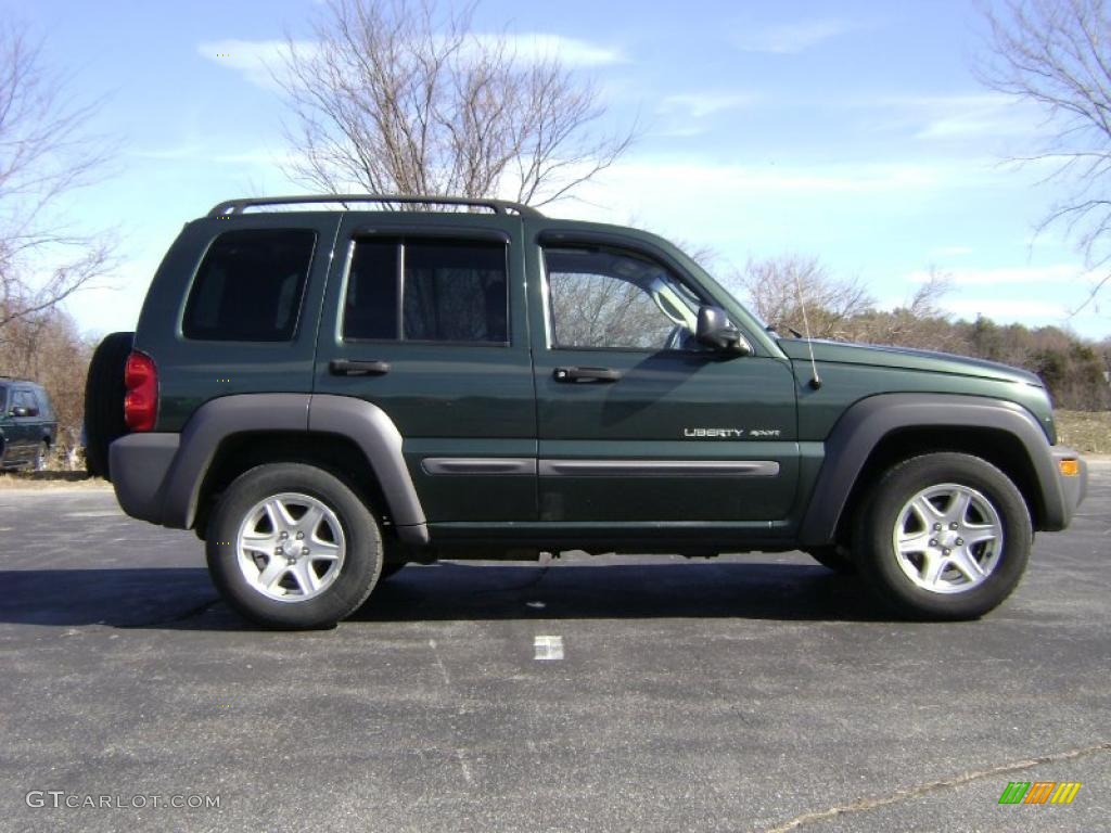 2002 Liberty Sport 4x4 - Shale Green Metallic / Dark Slate Gray photo #8