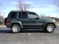 2002 Shale Green Metallic Jeep Liberty Sport 4x4  photo #8