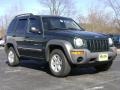 2002 Shale Green Metallic Jeep Liberty Sport 4x4  photo #9