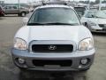 Nordic White - Santa Fe LX 4WD Photo No. 9