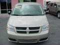 2008 Light Sandstone Metallic Dodge Grand Caravan SE  photo #9