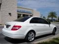 2008 Arctic White Mercedes-Benz C 300 Luxury  photo #6