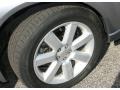 2009 Diamond Gray Metallic Subaru Outback 2.5i Special Edition Wagon  photo #18