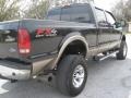 Black - F250 Super Duty Lariat FX4 Crew Cab 4x4 Photo No. 10