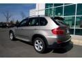 Titanium Silver Metallic - X5 3.0si Photo No. 4