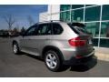 2007 Titanium Silver Metallic BMW X5 3.0si  photo #4