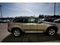 Titanium Silver Metallic - X5 3.0si Photo No. 7