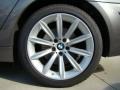 2008 Sterling Grey Metallic BMW 7 Series 750Li Sedan  photo #6