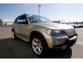 2008 Platinum Bronze Metallic BMW X5 4.8i  photo #8