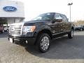 2010 Tuxedo Black Ford F150 Platinum SuperCrew 4x4  photo #6