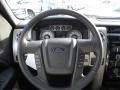 2010 Ingot Silver Metallic Ford F150 FX4 SuperCrew 4x4  photo #19
