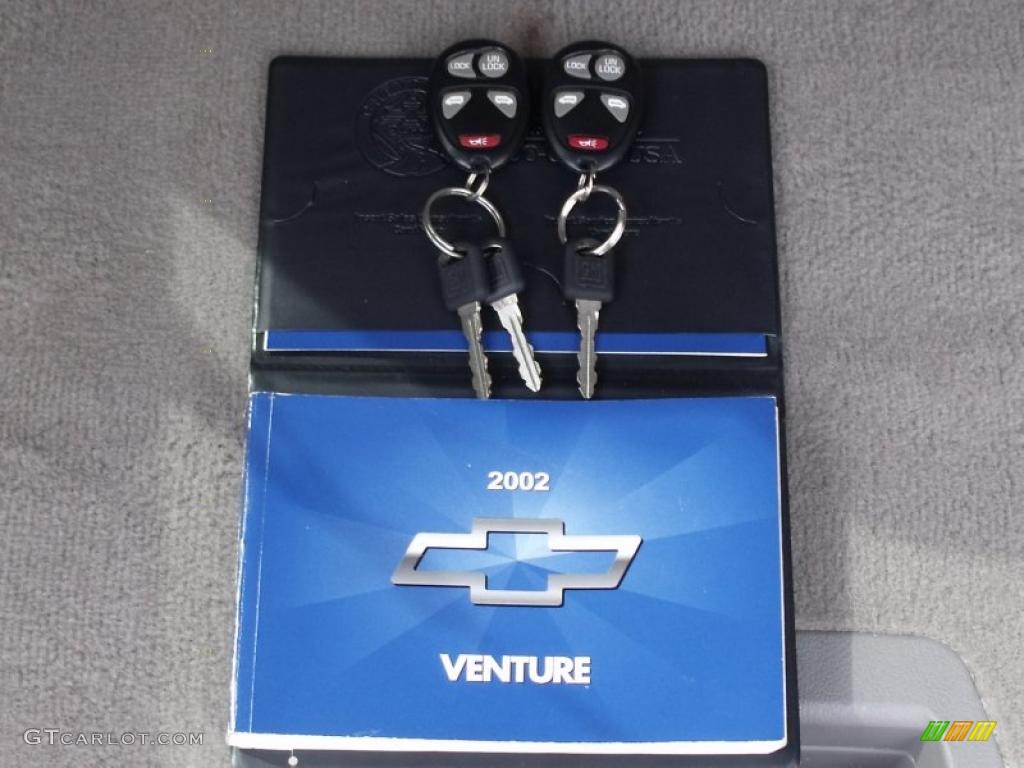 2002 Venture Warner Brothers Edition AWD - Galaxy Silver Metallic / Medium Gray photo #9