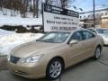 Golden Almond Metallic - ES 350 Photo No. 1