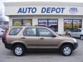 2004 Mojave Mist Metallic Honda CR-V LX 4WD  photo #1