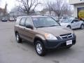 2004 Mojave Mist Metallic Honda CR-V LX 4WD  photo #2