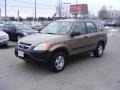 2004 Mojave Mist Metallic Honda CR-V LX 4WD  photo #4