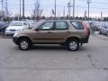 2004 Mojave Mist Metallic Honda CR-V LX 4WD  photo #5