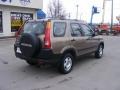 2004 Mojave Mist Metallic Honda CR-V LX 4WD  photo #8