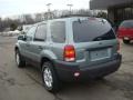 2007 Titanium Green Metallic Ford Escape XLT V6 4WD  photo #2