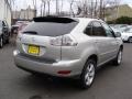 Millennium Silver Metallic - RX 350 AWD Photo No. 5