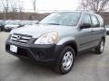 2005 Silver Moss Metallic Honda CR-V LX 4WD  photo #22