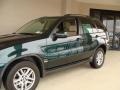 2004 Highland Green Metallic BMW X5 3.0i  photo #3