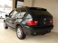 Highland Green Metallic - X5 3.0i Photo No. 5