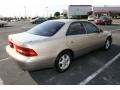 Cashmere Beige Metallic - ES 300 Photo No. 5