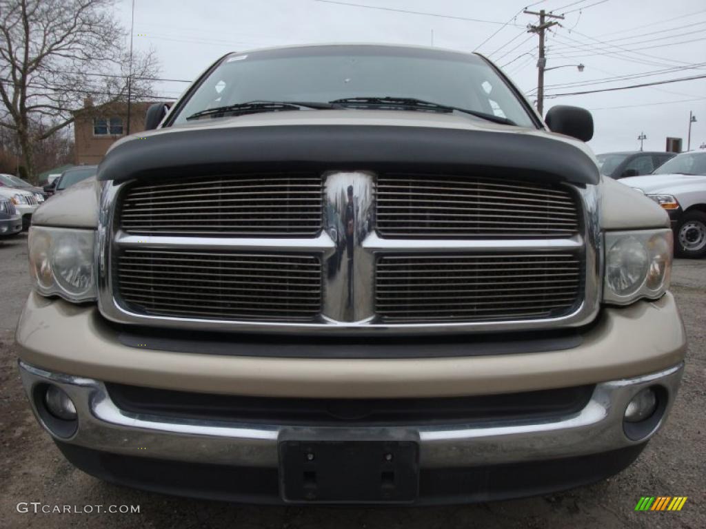 2002 Ram 1500 SLT Quad Cab 4x4 - Light Almond Pearl / Taupe photo #2