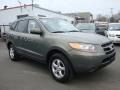 2007 Natural Khaki Green Hyundai Santa Fe GLS  photo #5