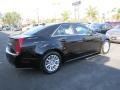 Black Raven - CTS 3.0 Sedan Photo No. 4