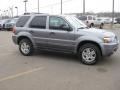 2007 Tungsten Grey Metallic Ford Escape XLT V6 4WD  photo #5