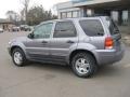 2007 Tungsten Grey Metallic Ford Escape XLT V6 4WD  photo #11