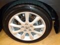 Carbon Gray Pearl - TSX Sedan Photo No. 39
