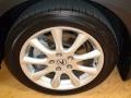 Carbon Gray Pearl - TSX Sedan Photo No. 40