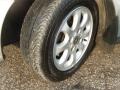Silver Metallic - S40 1.9T Photo No. 23