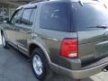 2002 Estate Green Metallic Ford Explorer Eddie Bauer 4x4  photo #4