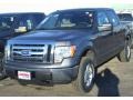2010 Sterling Grey Metallic Ford F150 XLT SuperCrew 4x4  photo #1