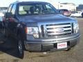 2010 Sterling Grey Metallic Ford F150 XLT SuperCrew 4x4  photo #2
