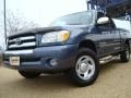 Bluesteel Metallic 2006 Toyota Tundra SR5 Access Cab