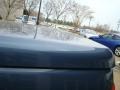 Bluesteel Metallic - Tundra SR5 Access Cab Photo No. 25