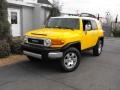 2007 Sun Fusion Toyota FJ Cruiser 4WD  photo #1