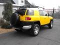 2007 Sun Fusion Toyota FJ Cruiser 4WD  photo #7