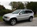 2001 Titanium Silver Metallic BMW X5 4.4i  photo #2